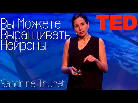המוח יכול לייצר תאים חדשים! ד"ר סנדרין טורט